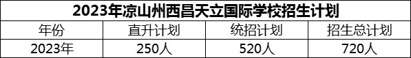 2024年涼山州西昌天立國際學(xué)校招生計劃是多少？