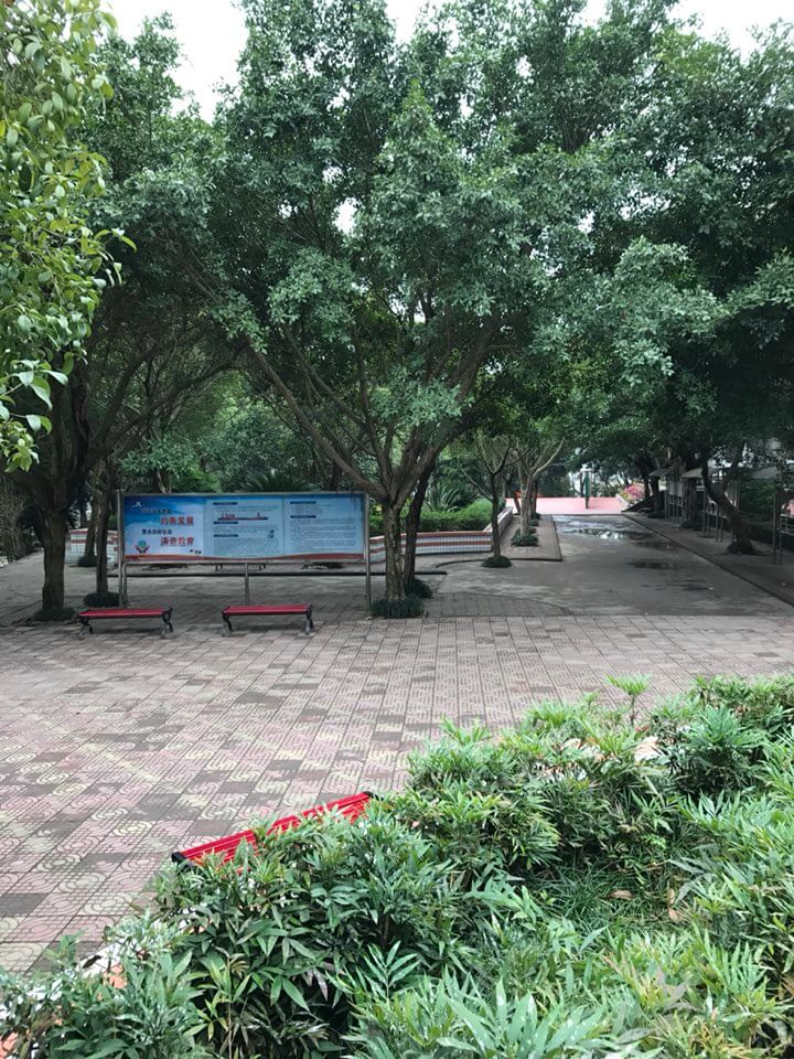 內(nèi)江十二中好嗎？