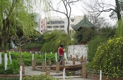 綿陽南山中學(xué)校園風(fēng)采