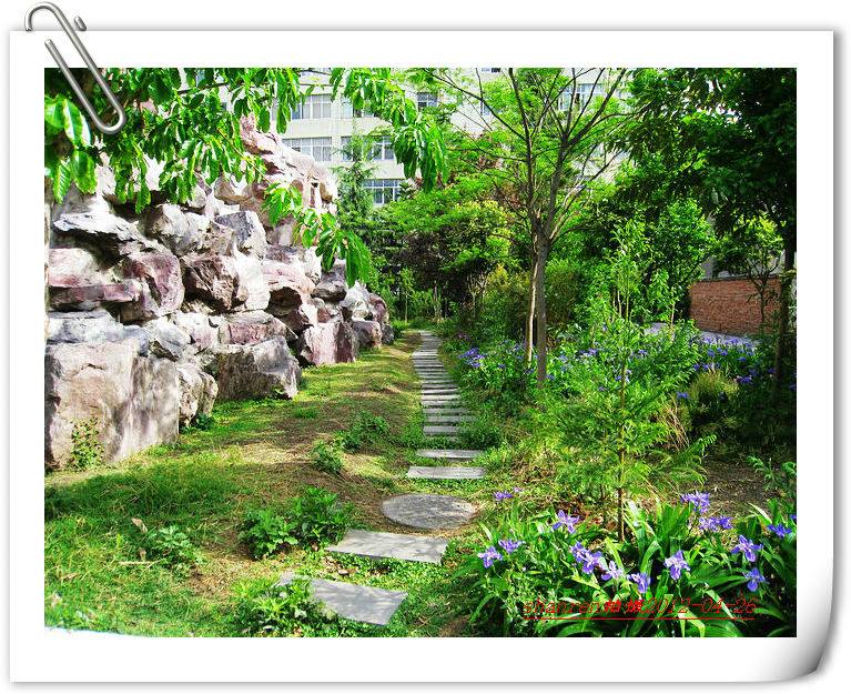 甘洛中學(xué)地址在哪里？