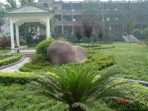 渠縣三匯中學校園風采