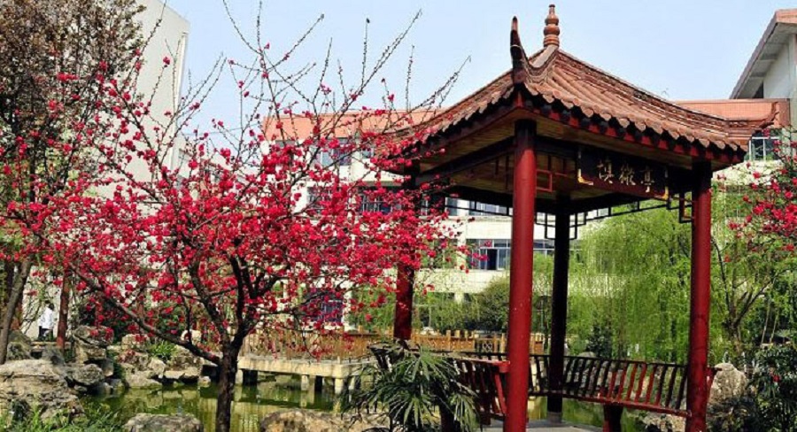 蜀城中學(xué)2020年中考錄取分?jǐn)?shù)線是多少？