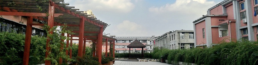 成都市通錦中學(xué)2019年中考分?jǐn)?shù)線是多少？