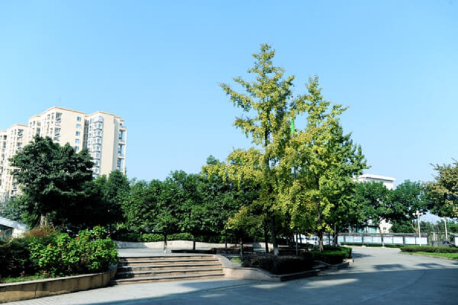 成都棠湖外國語學校地址在哪里？