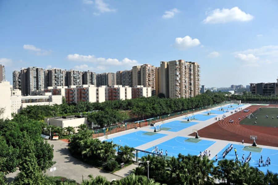 成都棠湖外國語學校2019年招生計劃出來了嗎？