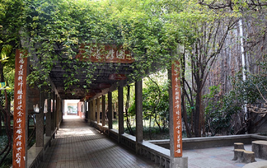 成都玉林中學(xué)網(wǎng)址在是什么？