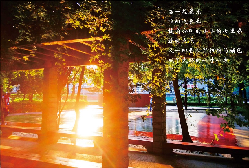 成都七中高新校區(qū)2019年中考分數(shù)線是多少？