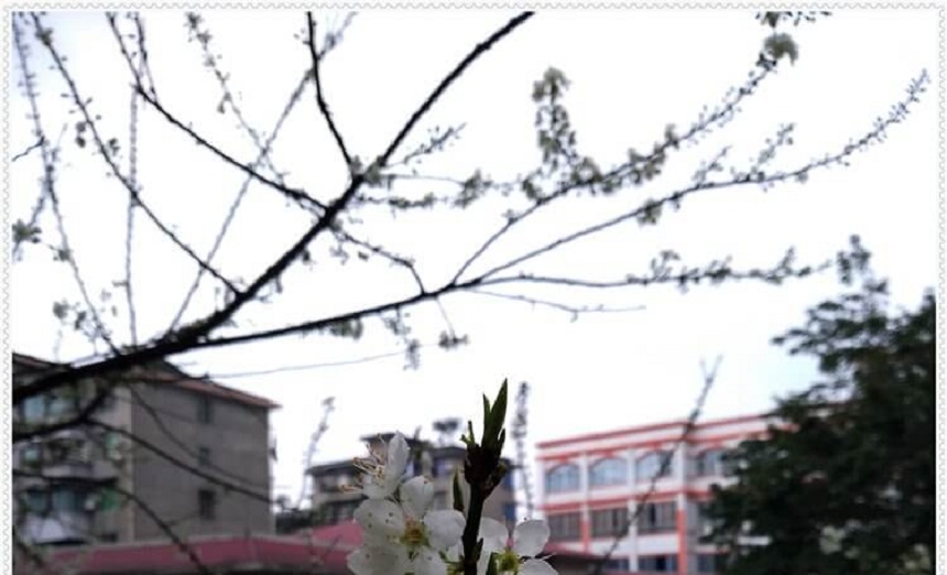 洪雅中學(xué)是一所公辦高中學(xué)嗎？