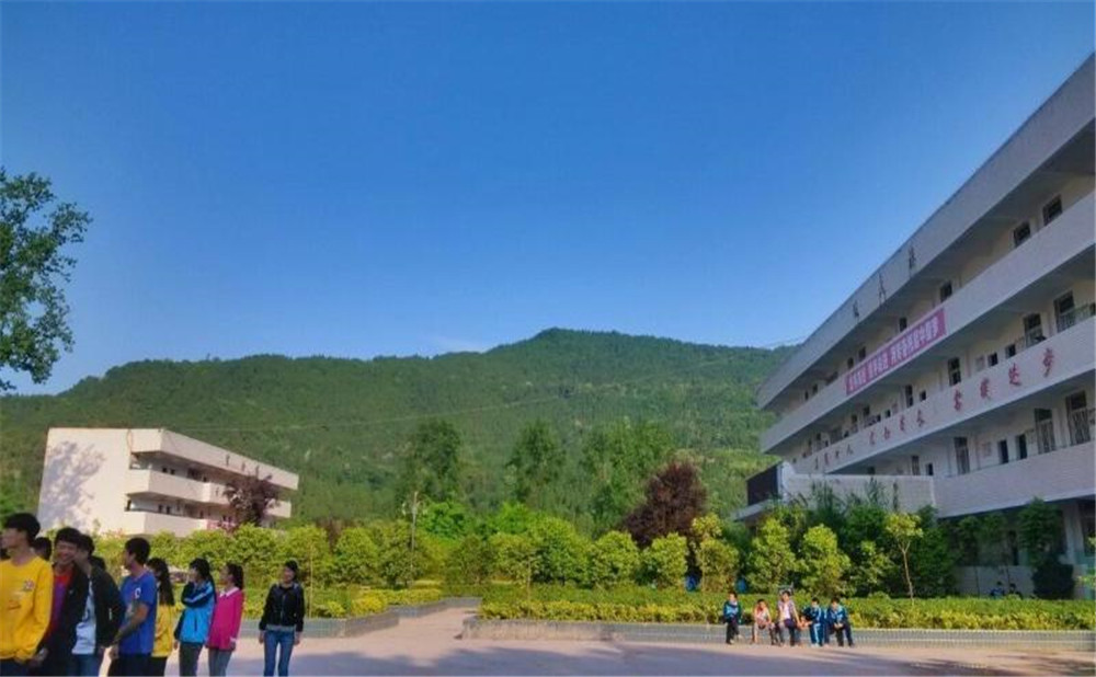 金山中學(xué)2020年學(xué)校招生計劃在哪兒看？