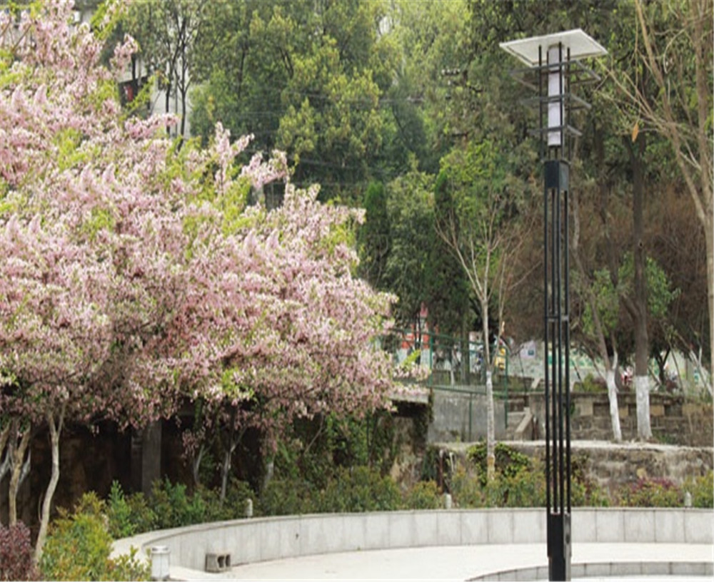 廣元實驗中學學校招辦電話是多少？