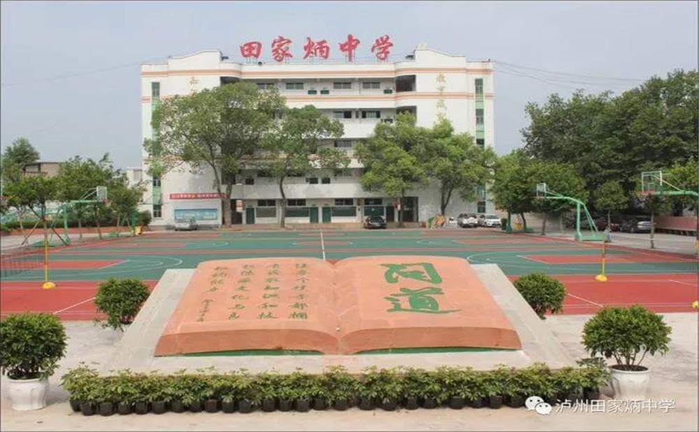 瀘洲市田家炳中學(xué)是公辦學(xué)校嗎？