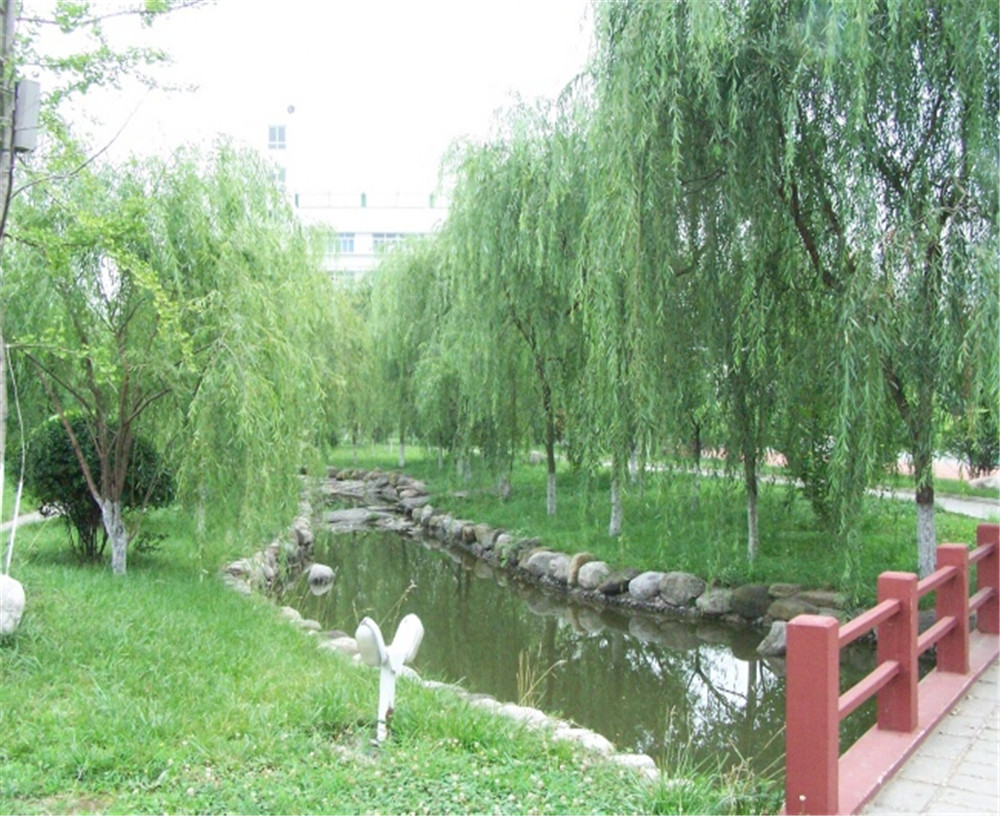 廣元外國語2020年學(xué)校招生分?jǐn)?shù)公布了嗎？
