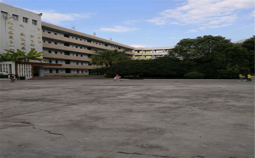 柳樹中學2020年的招生計劃公布了嗎？