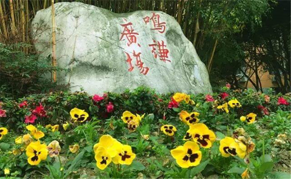 遂寧中學(xué)外國(guó)語實(shí)驗(yàn)學(xué)校的招生電話是多少？