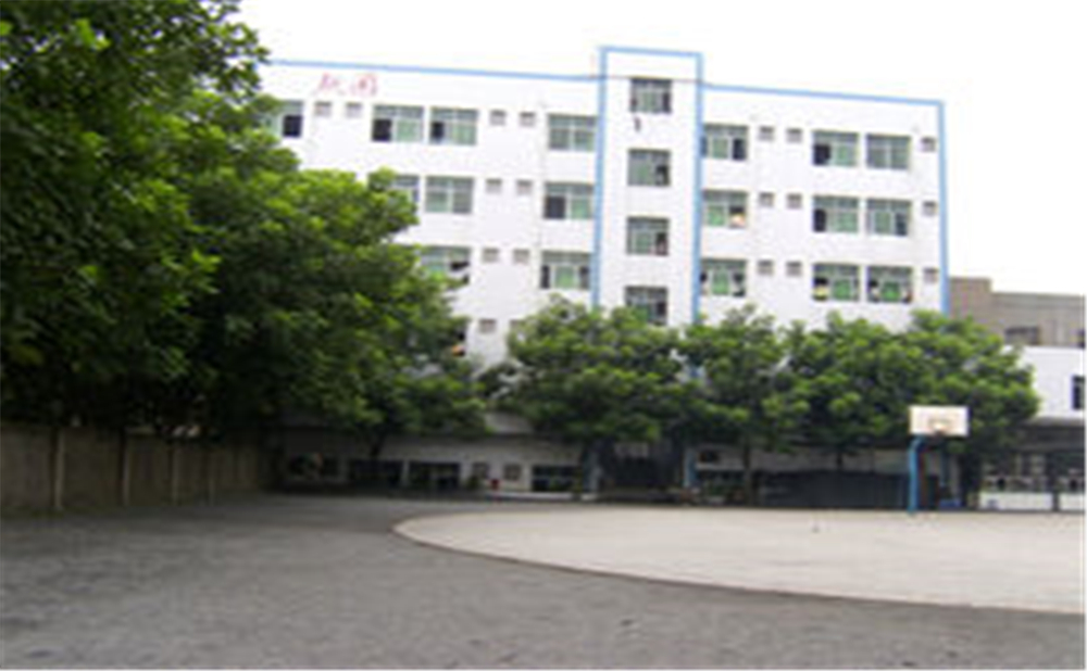 資中縣第三中學(xué)學(xué)校環(huán)境怎么樣？