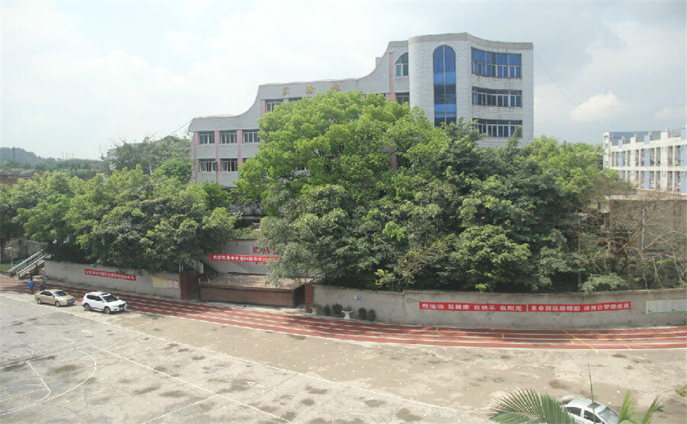 內(nèi)江鐵路中學(xué)學(xué)校環(huán)境怎么樣？