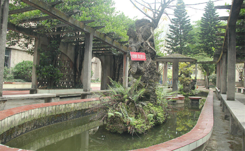 內(nèi)江鐵路中學(xué)學(xué)校環(huán)境怎么樣？