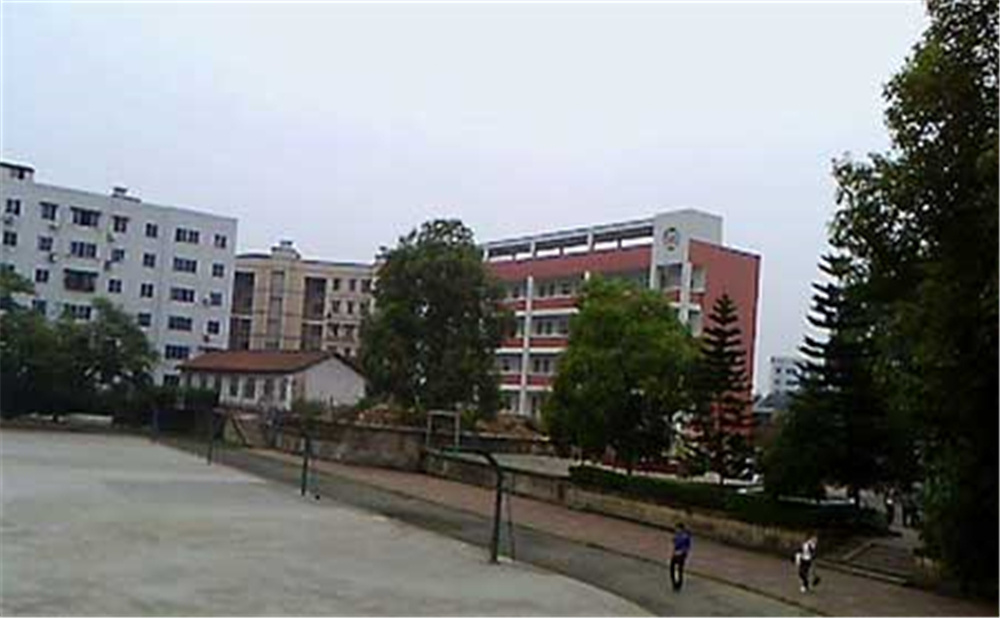 內(nèi)江十中2020年學校學費多少錢一年？