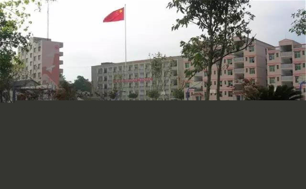 內(nèi)江市第十一中學學校招辦電話是多少？