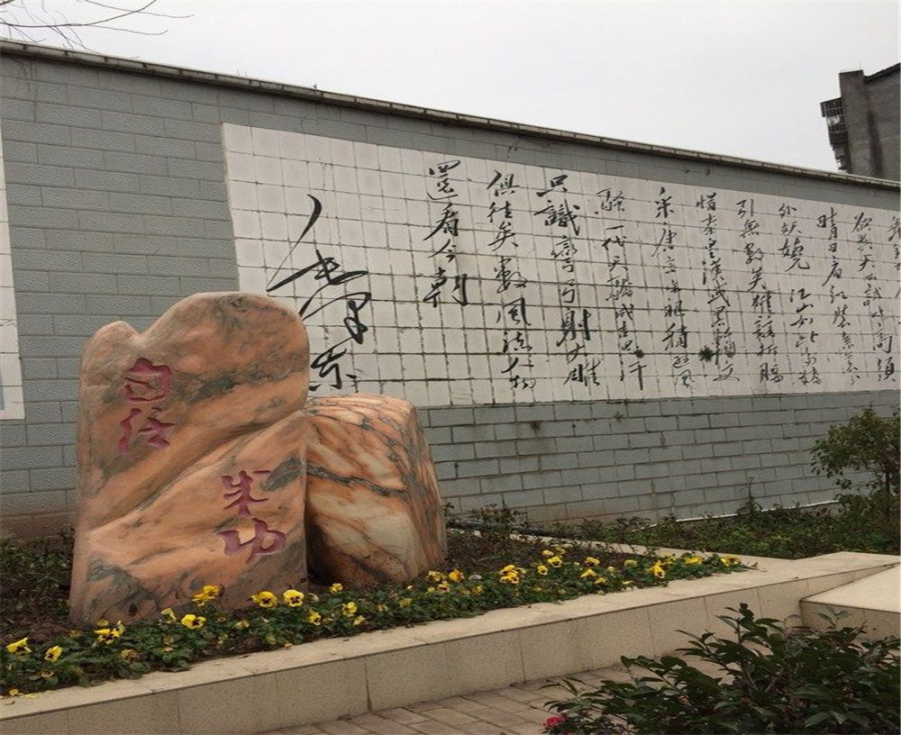 蒲家中學(xué)2020年招生計(jì)劃在哪兒看？