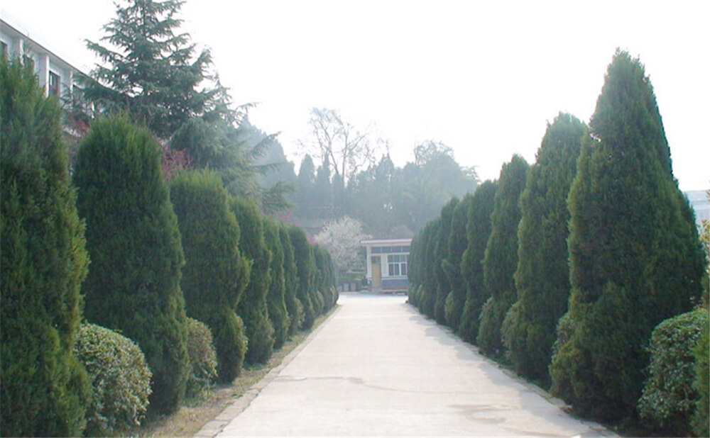 建興中學(xué)學(xué)校環(huán)境怎么樣？