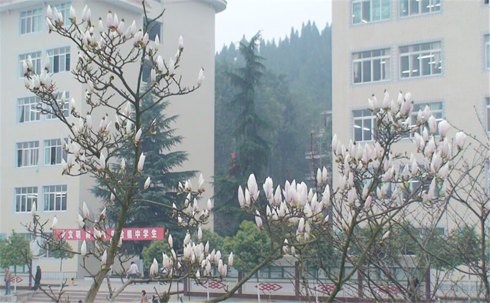 建興中學(xué)學(xué)校詳細(xì)地址在什么地方？