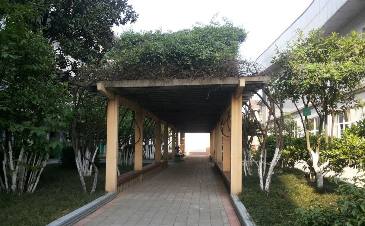 通錦中學(xué)的高中怎么樣？