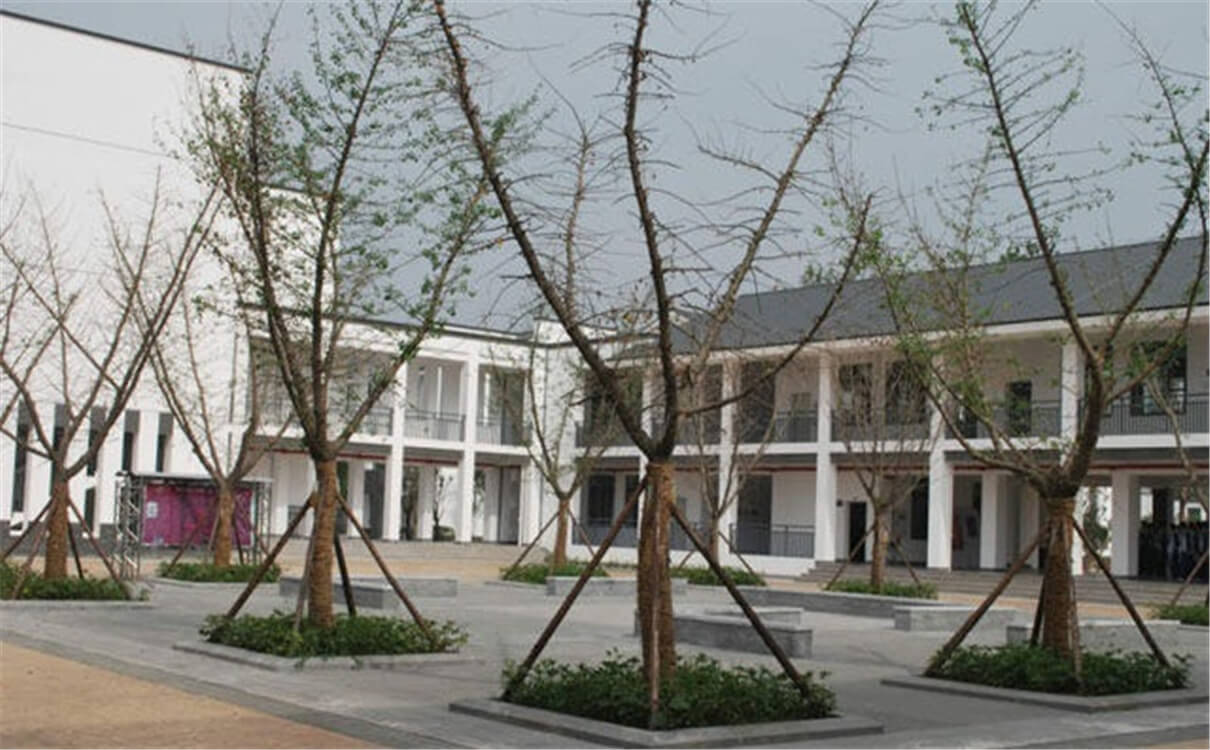 石室白馬中學(xué)的高中怎么樣？