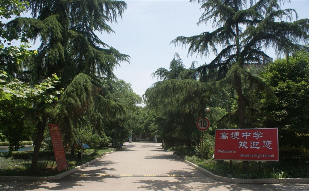 高埂中學(xué)的升學(xué)率怎么樣？