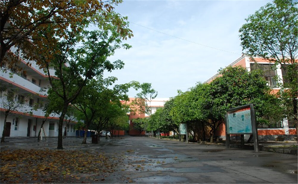 大邑中學(xué)育才的升學(xué)率是多少？