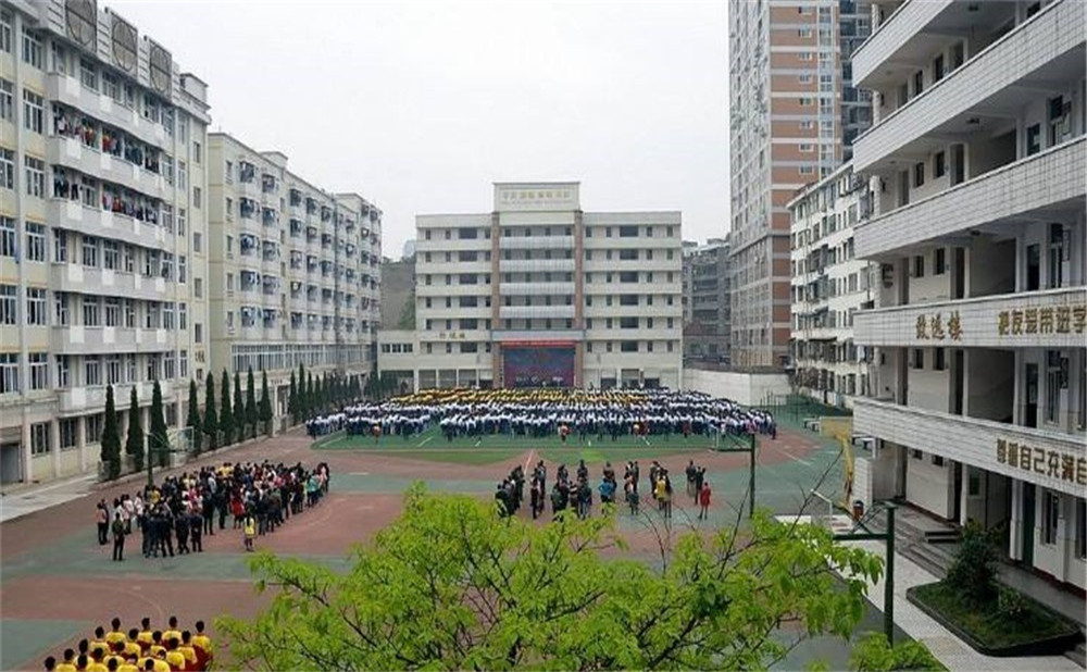 陽(yáng)安中學(xué)每年的學(xué)費(fèi)是多少？