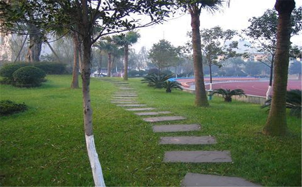 成都石室佳興外國(guó)語(yǔ)學(xué)校外招生一年的學(xué)費(fèi)是多少錢？