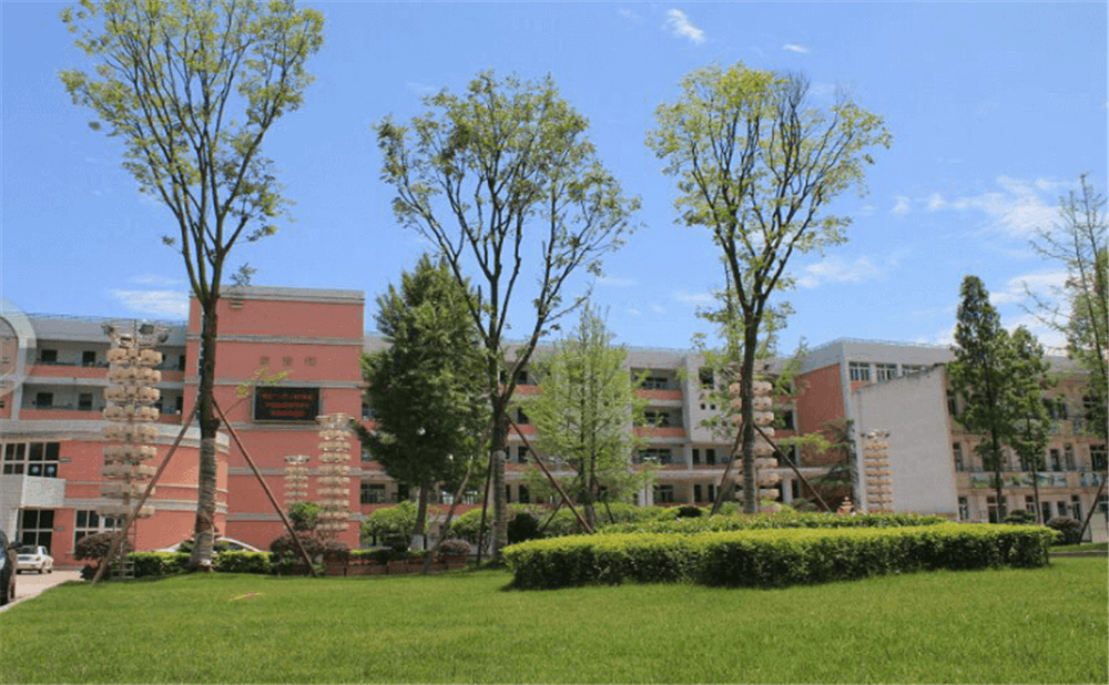 成都市籍田中學(xué)的老師怎么樣？