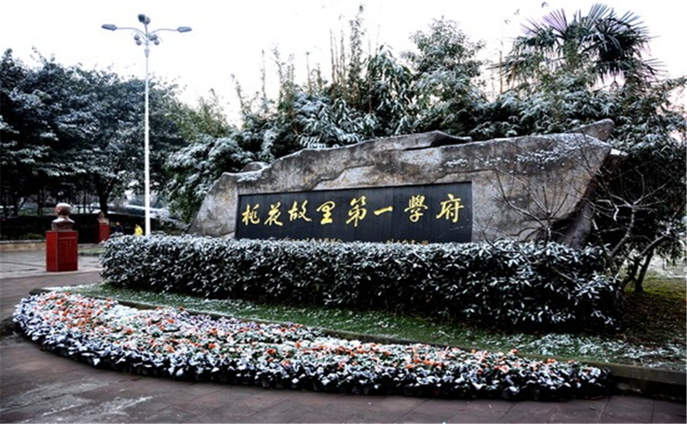 成都市龍泉中學(xué)的高考升學(xué)率是多少？