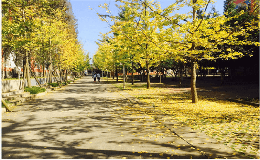 大邑中學(xué)2020年招生標(biāo)準(zhǔn)在哪兒看？