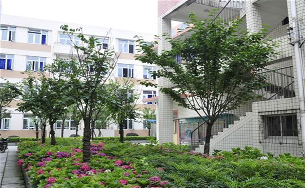 蜀城中學(xué)近三年的錄取分數(shù)是多少？