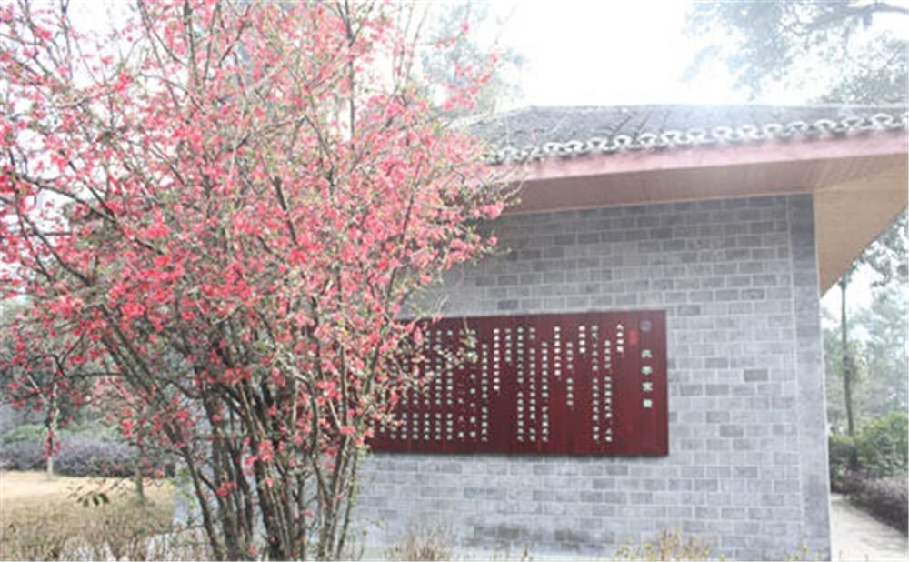 彭州中學(xué)2020年招生標(biāo)準(zhǔn)在哪兒看？