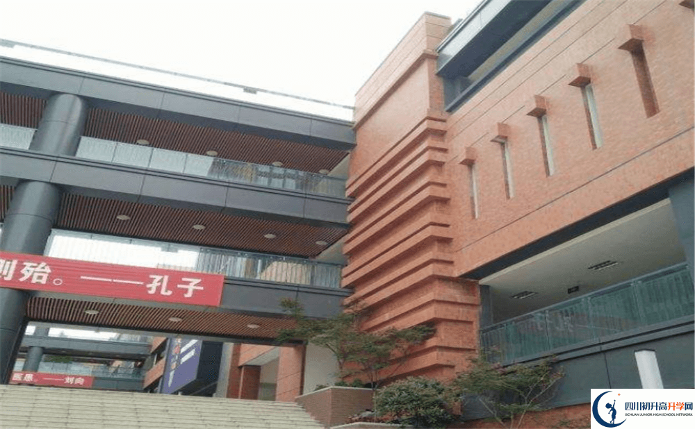 成都實外新都五龍山學校的升學率是多少？