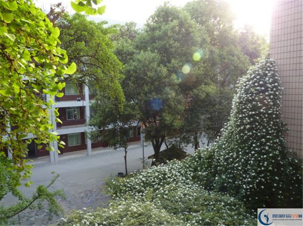 成都市石室聯(lián)中蜀華分校初升高的政策是什么？