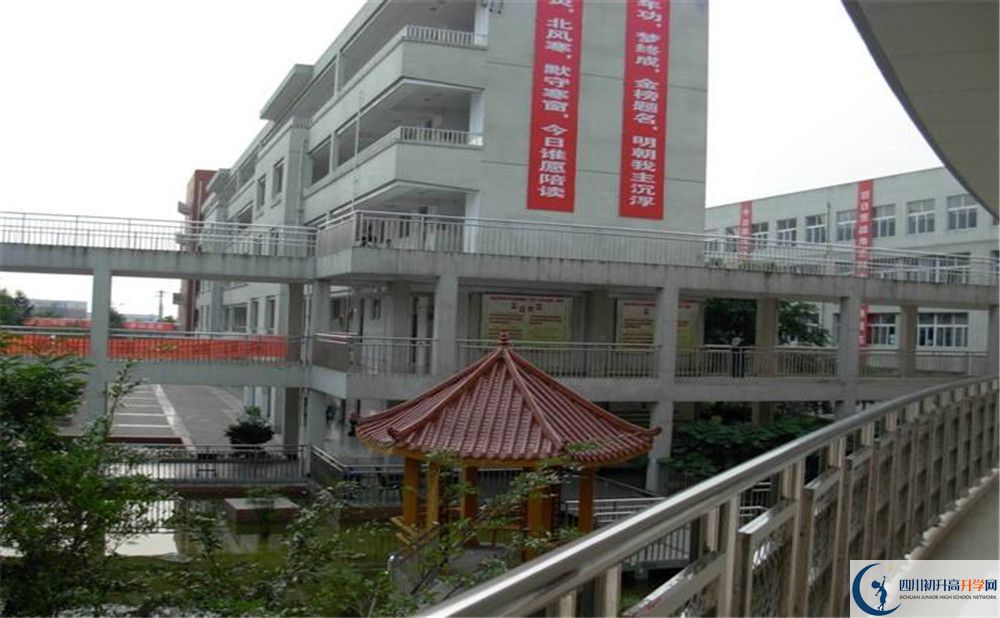 成都市龍泉中學(xué)2020年清華北大人數(shù)是多少？					