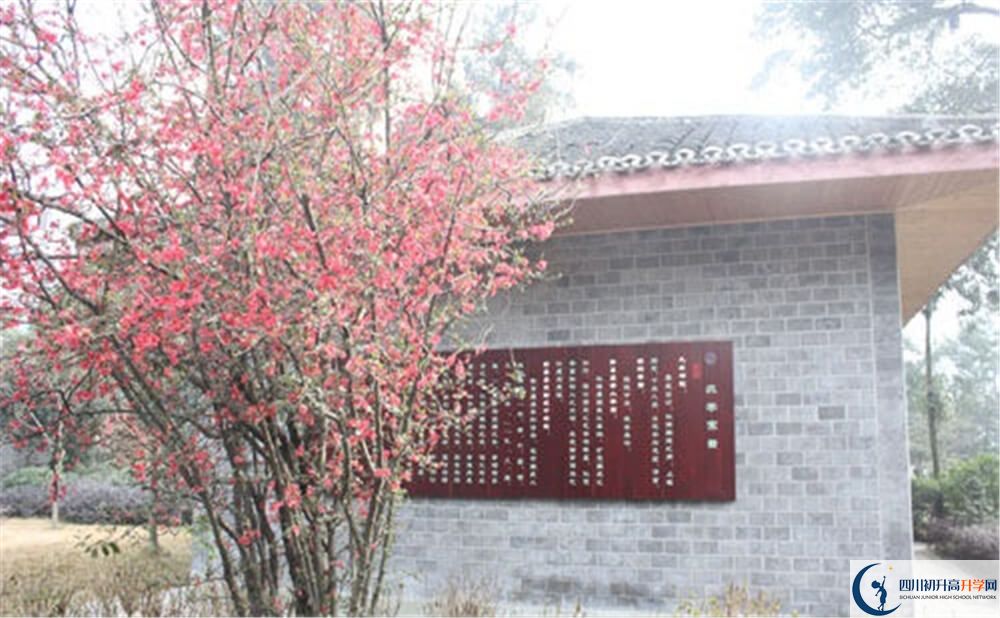 彭州中學(xué)2020年被清華北大錄取的學(xué)生有多少？
