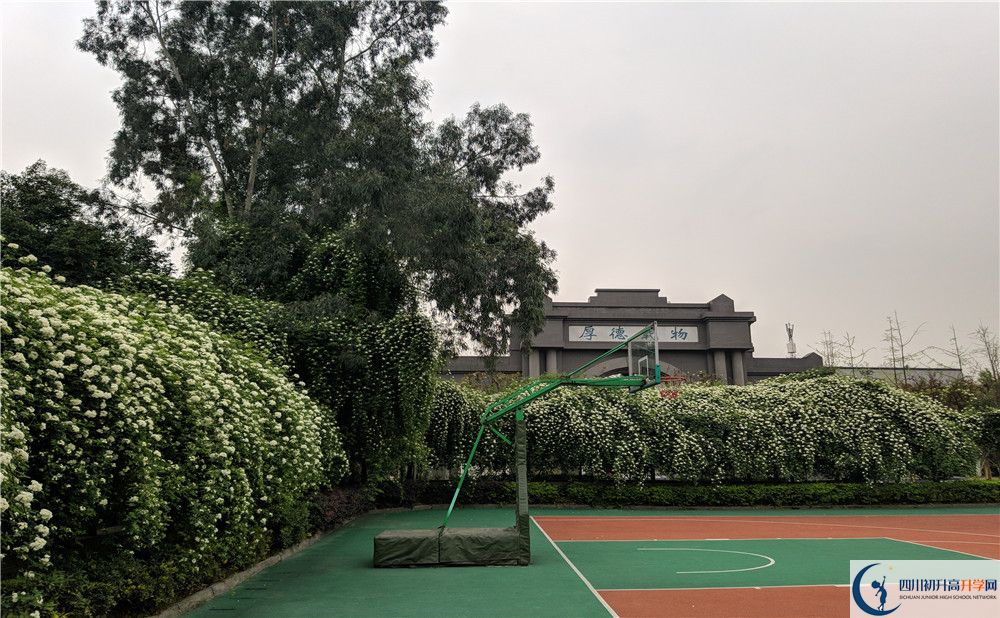 成都大學(xué)附屬中學(xué)2020清華北大錄取學(xué)生是多少？