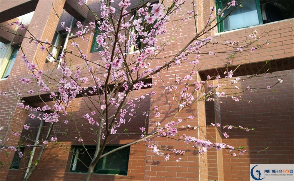 都江堰育才學校2020清華北大錄取學生多少？