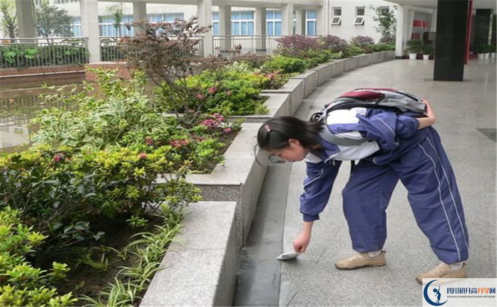 成都市龍泉中學(xué)初升高向外地招生嗎？