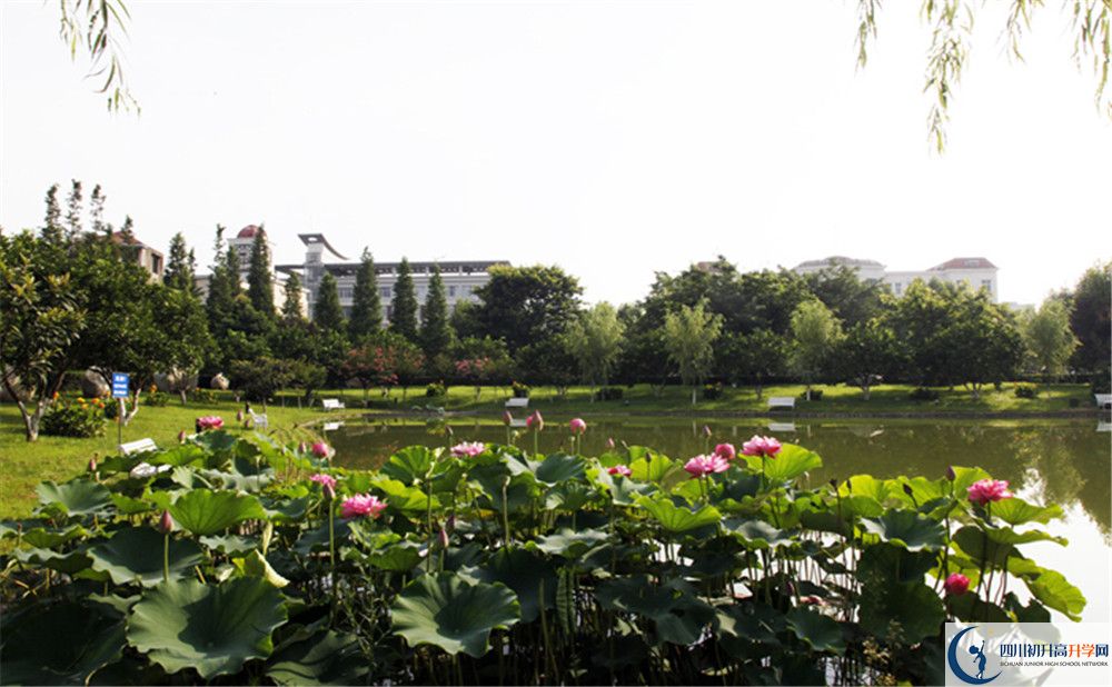 2020四川師范大學(xué)實驗外國語學(xué)校高中分班考試是好久？