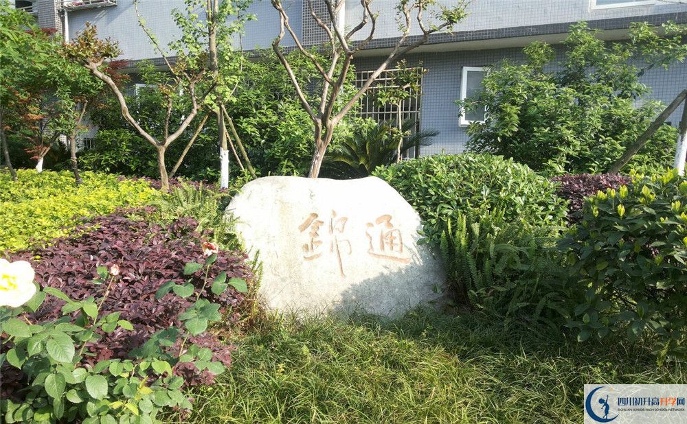 通錦中學(xué)高2020屆高三理綜階段檢測(cè)試題在哪看？