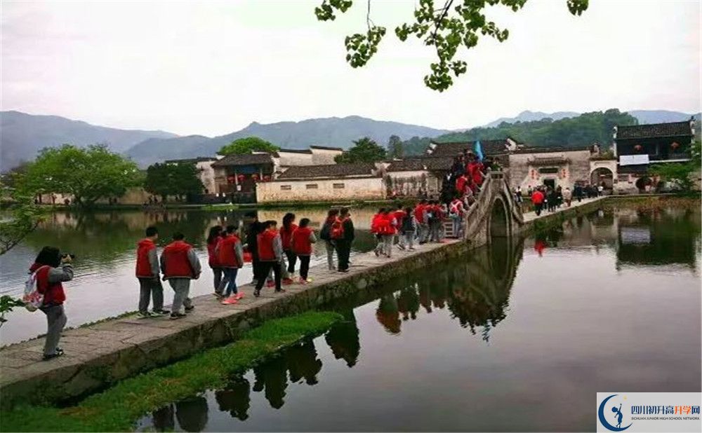 2020成都市泡桐樹中學(xué)國際部入學(xué)多少分？