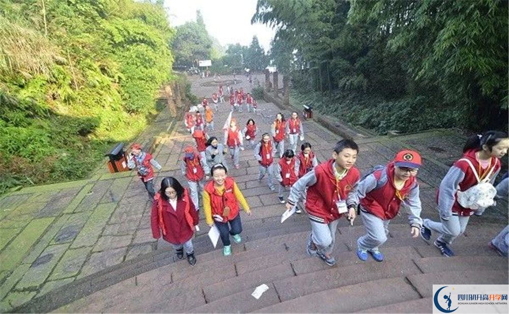 成都市泡桐樹中學(xué)和樹德中學(xué)誰好？