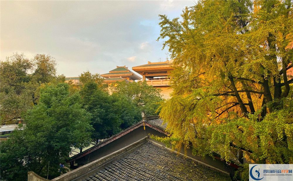 成都市泡桐樹(shù)中學(xué)平行班與實(shí)驗(yàn)班差多少？