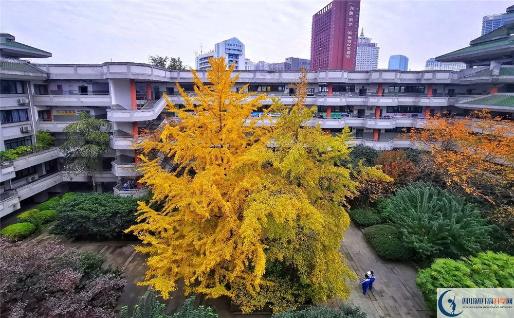 成都市泡桐樹中學(xué)2020年全國排名？